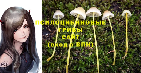 ГАЛЛЮЦИНОГЕННЫЕ ГРИБЫ Беломорск