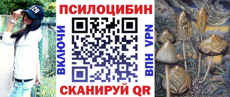 это как зайти  Нижний Тагил  Галлюциногенные грибы прущие грибы  наркотики 